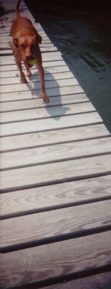 playing on the dock