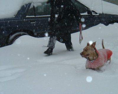 deep snow!